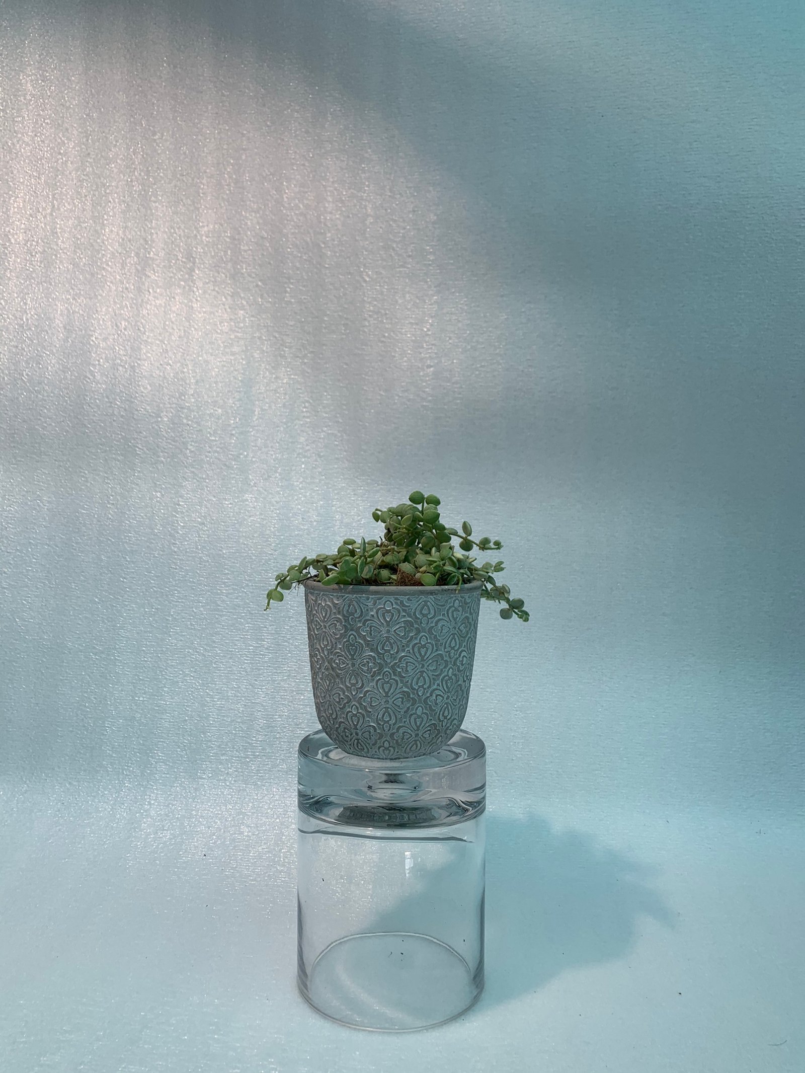 Strings of Nickels Variegated - Image 2