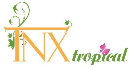 TNX Tropical WHOLESALE